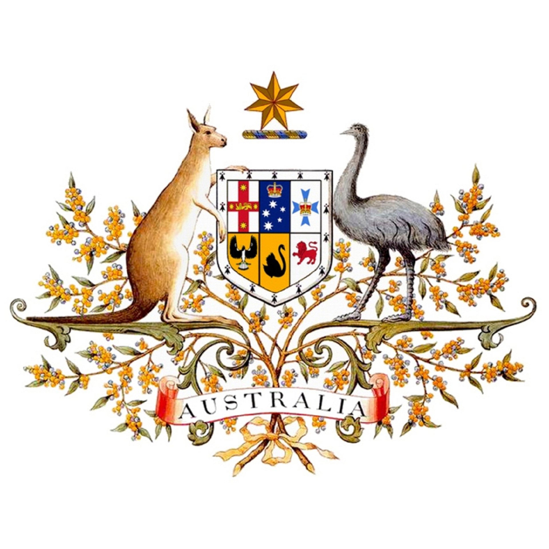 Australian citizenship australian immigration permanent resident